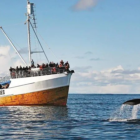 Holiday Hennes Semesterbostad